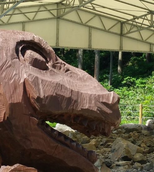 福井恐竜博物館の化石発掘体験のやり方を恐竜好きな私が語りたい！